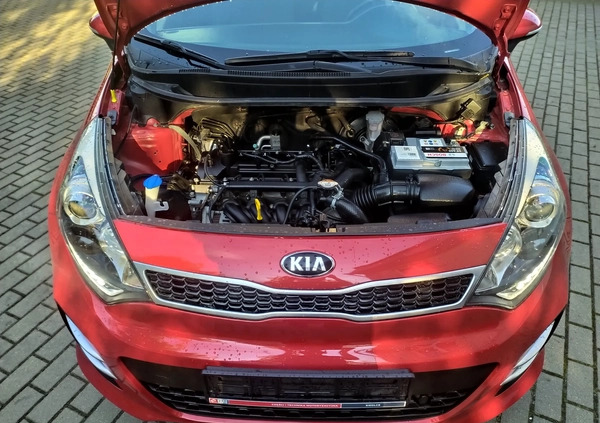 Kia Rio cena 37900 przebieg: 120000, rok produkcji 2016 z Bełżyce małe 326